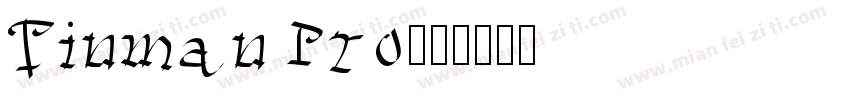 Tinman Pro字体转换
